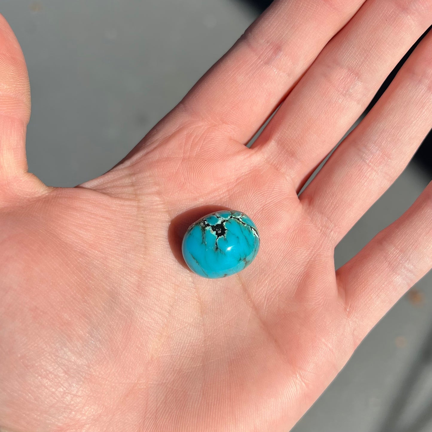 Turquoise #293 | Indian Mountain