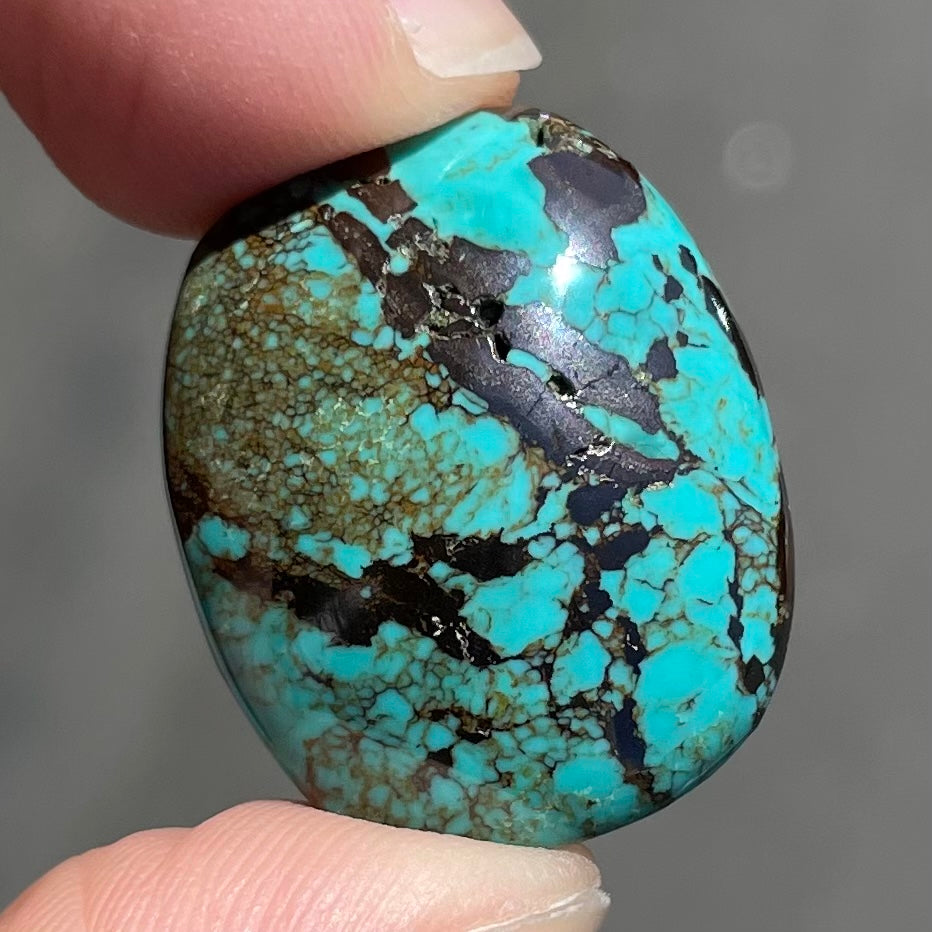 Turquoise #282 | Tibetan