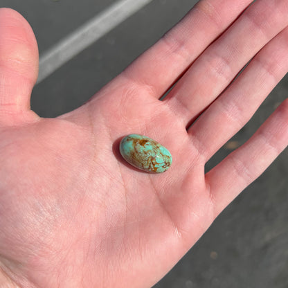 Turquoise #266B | Pinto Valley