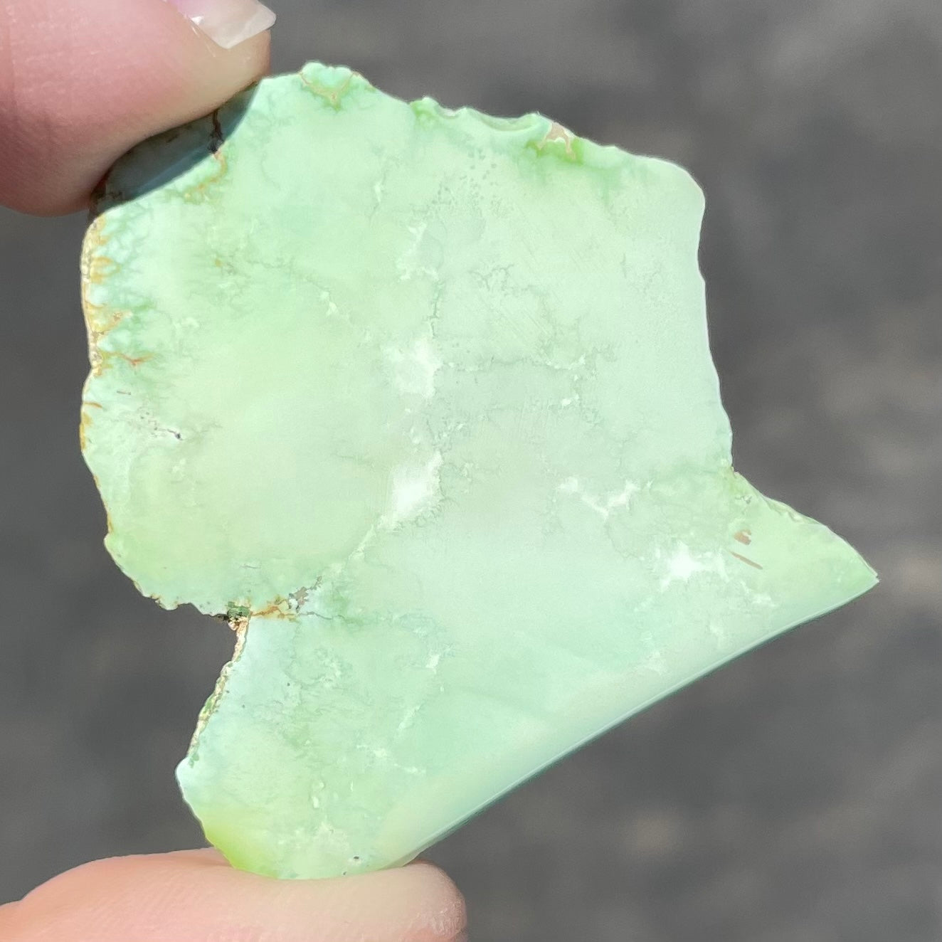 Variscite Specimen | #235