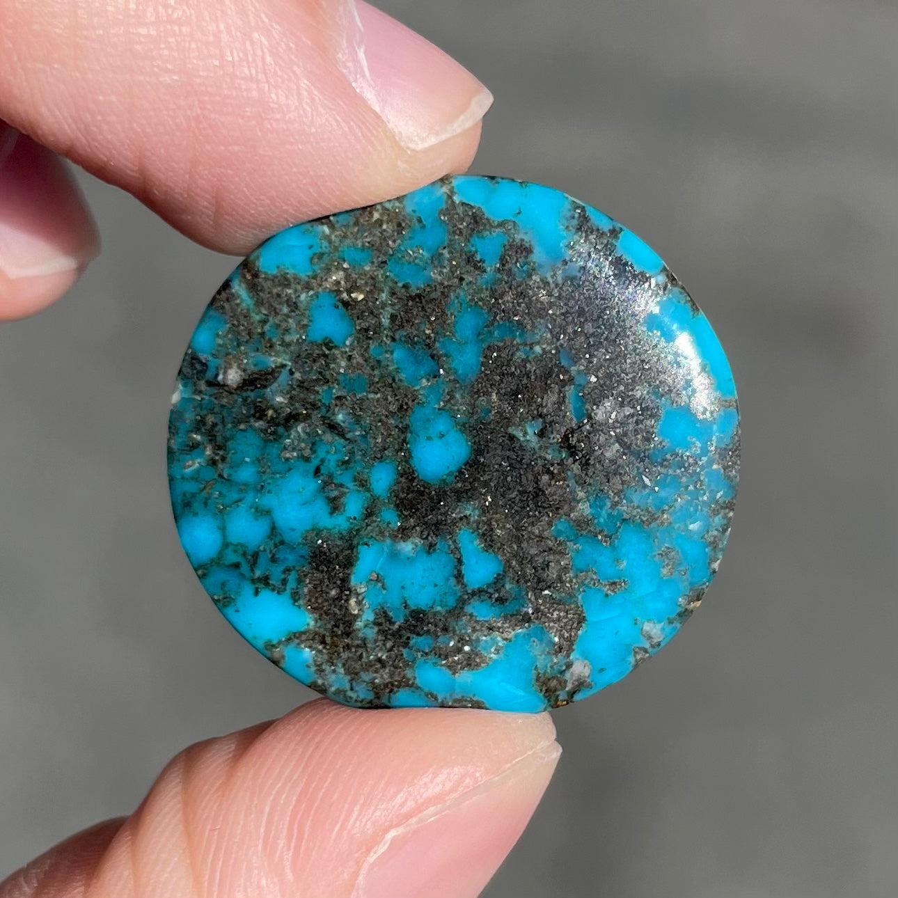 Turquoise #100 | Red Mountain