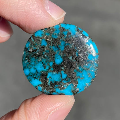 Turquoise #100 | Red Mountain