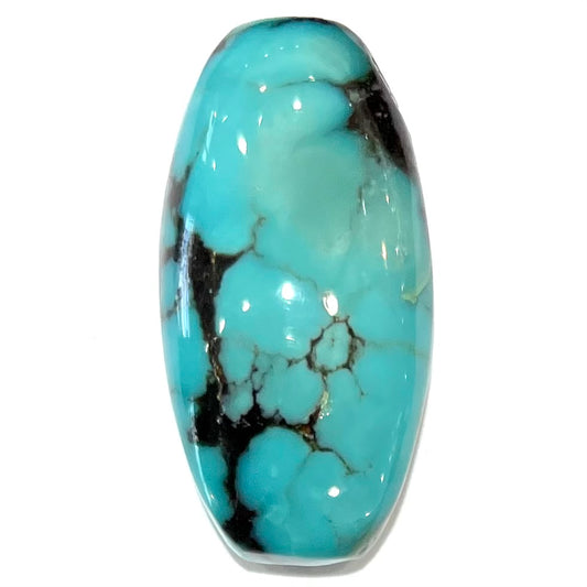 Turquoise #264 | Pinto Valley