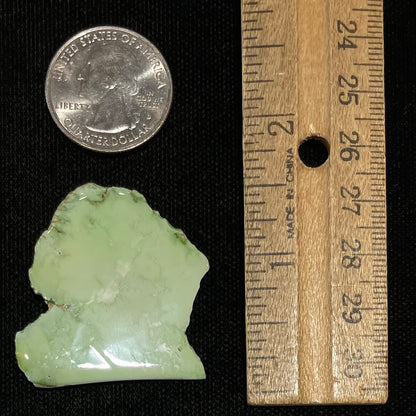 Variscite Specimen | #235