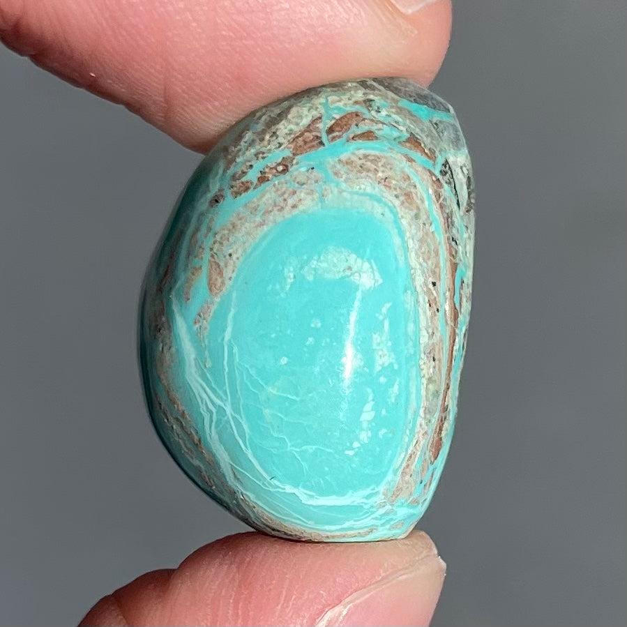 A polished, light blue Eilat Stone from Israel.