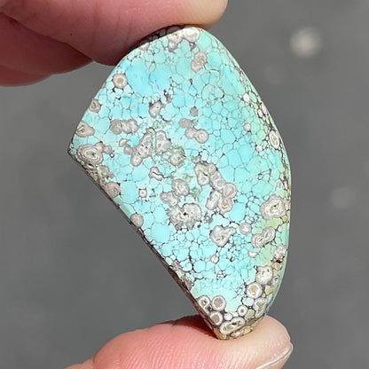 Turquoise #79 | Kingman