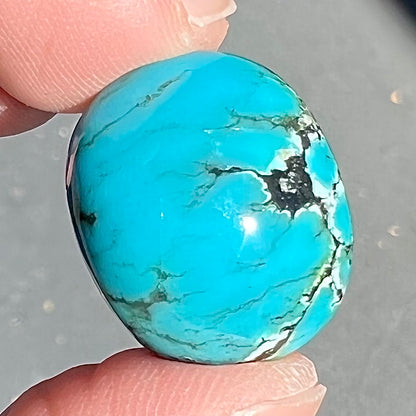 Turquoise #293 | Indian Mountain