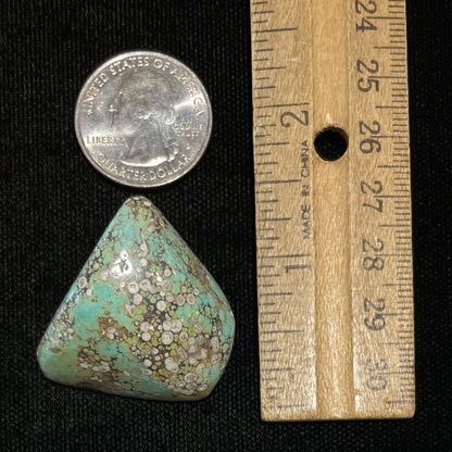 Turquoise #79 | Kingman