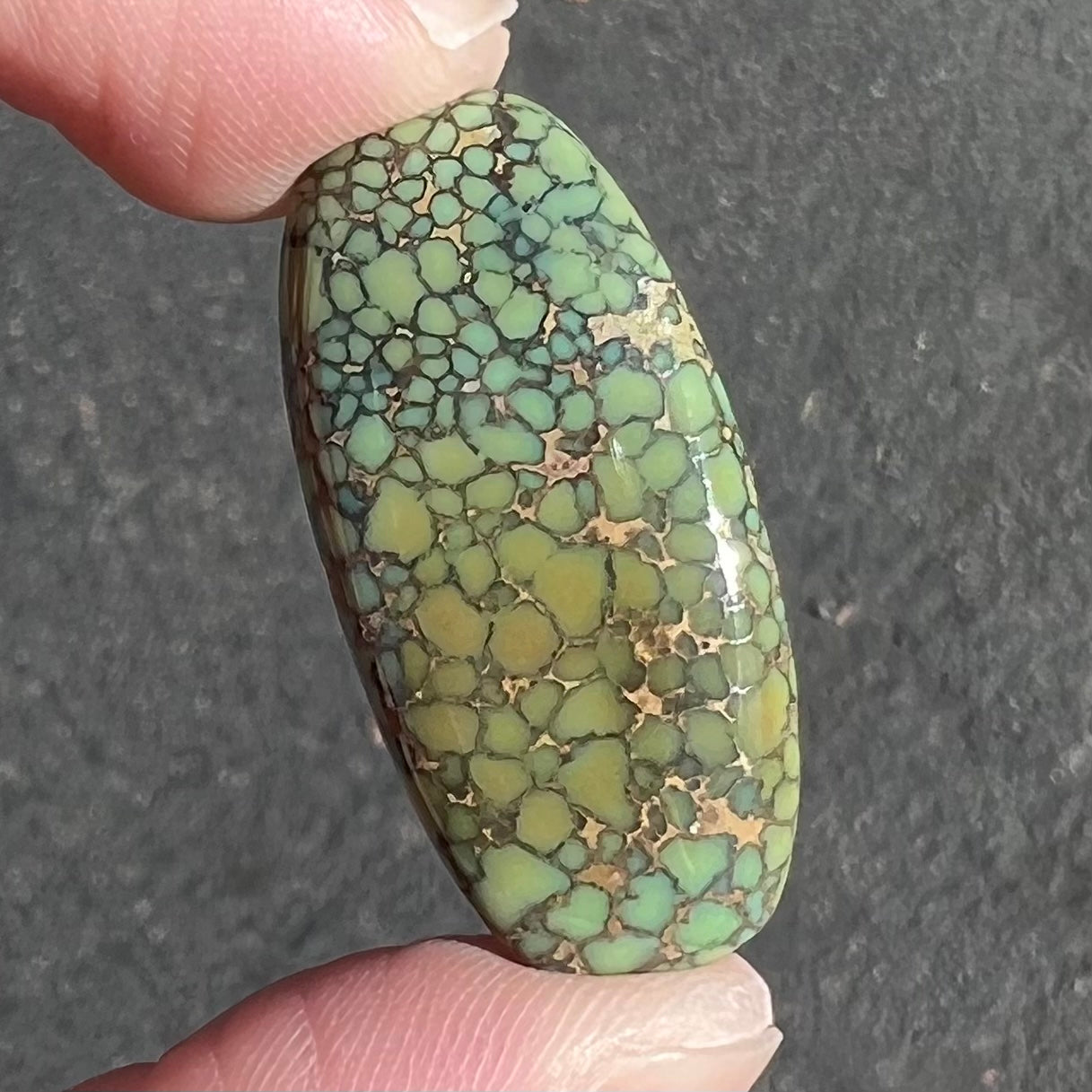 A loose, cabochon cut green turquoise from the Number 8 Mine in Lander County, Nevada.