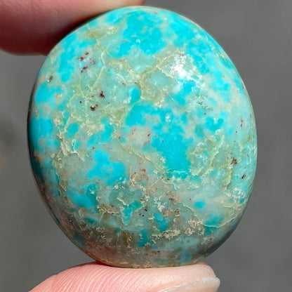 Turquoise #226 | Royston