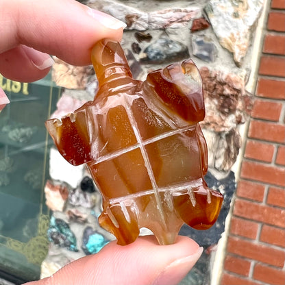 A stone turtle carved from orange carnelian agate.