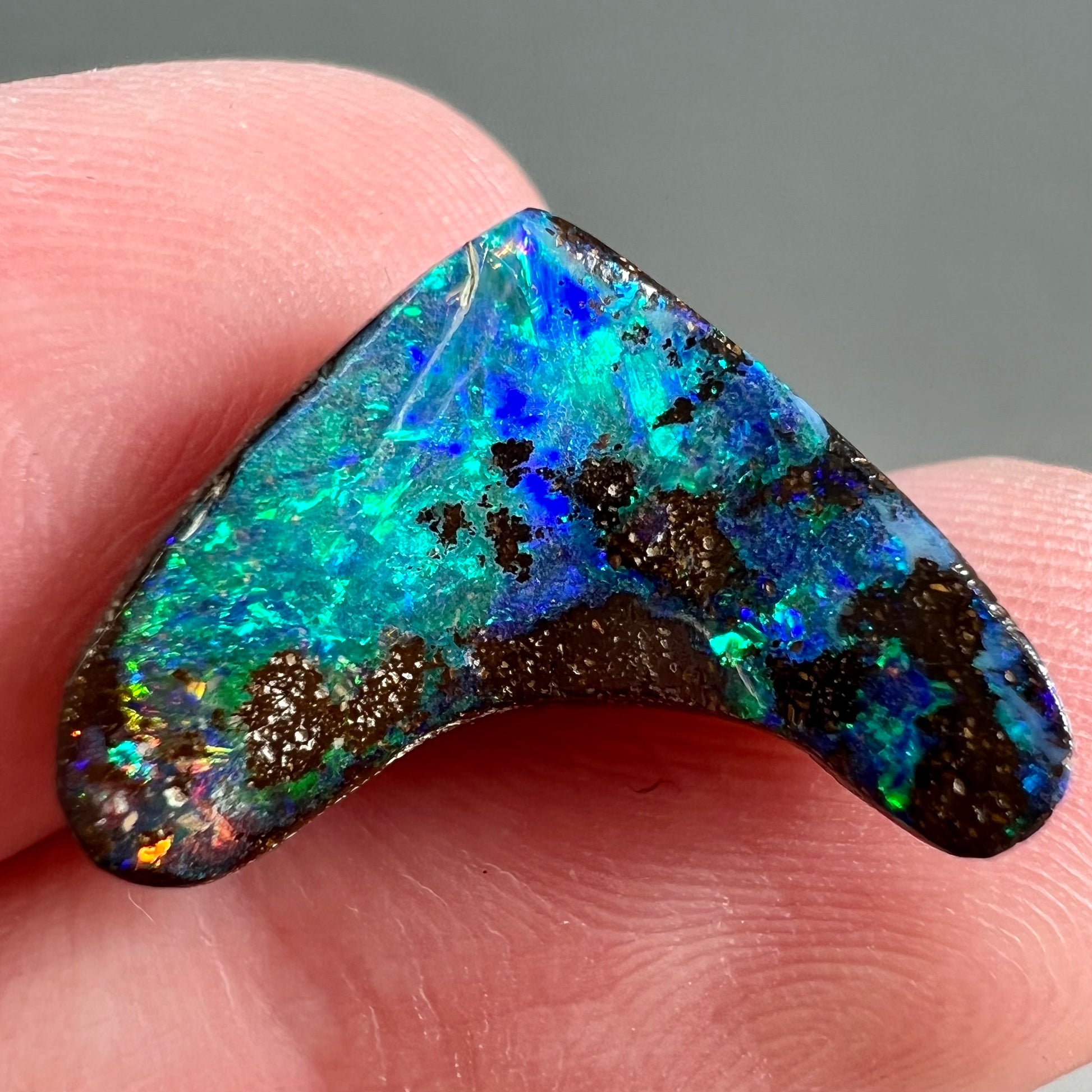 A loose, polished, boomerang shaped boulder opal stone from Queensland, Australia.