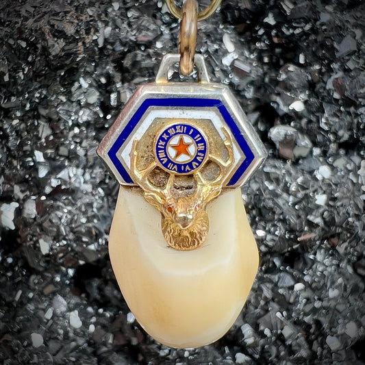 An elk tooth that has been fashioned into a blue enameled gold pendant.  There is a decorative elk head cast in yellow gold set on the piece.