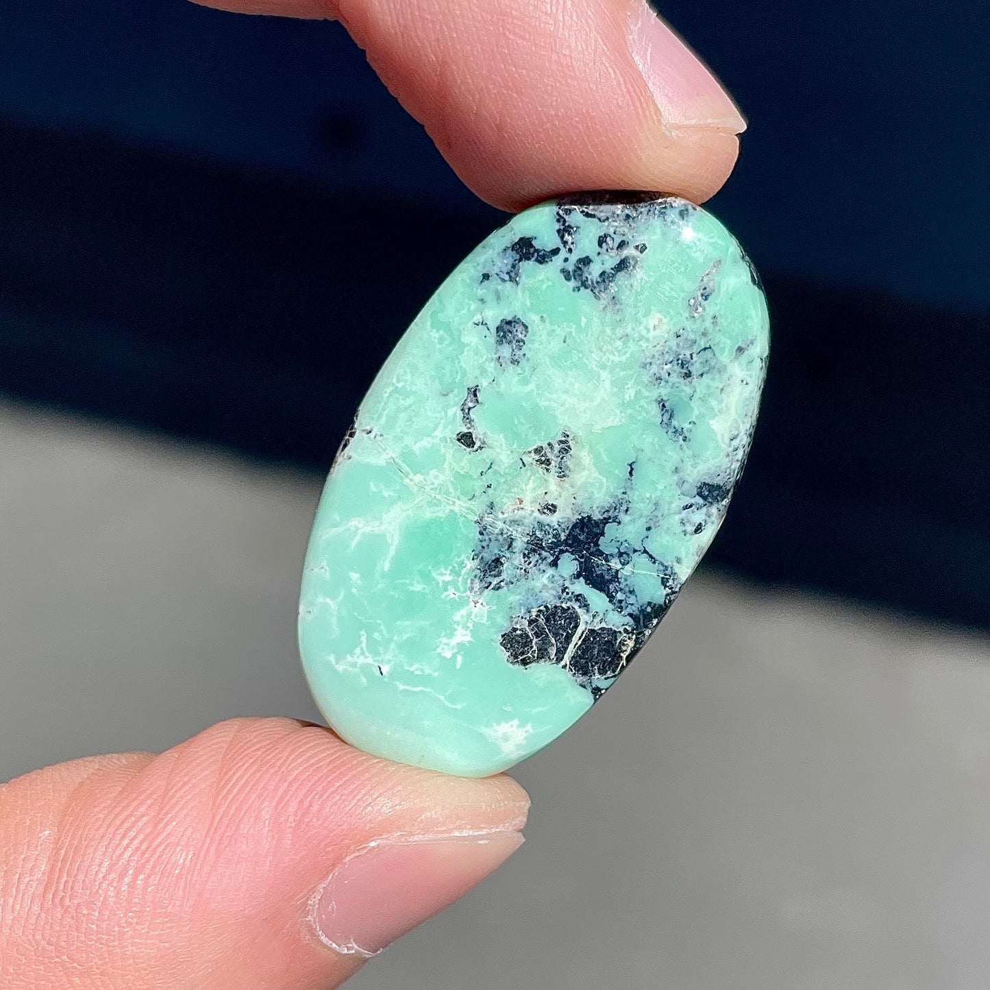 Turquoise #69 | Badger