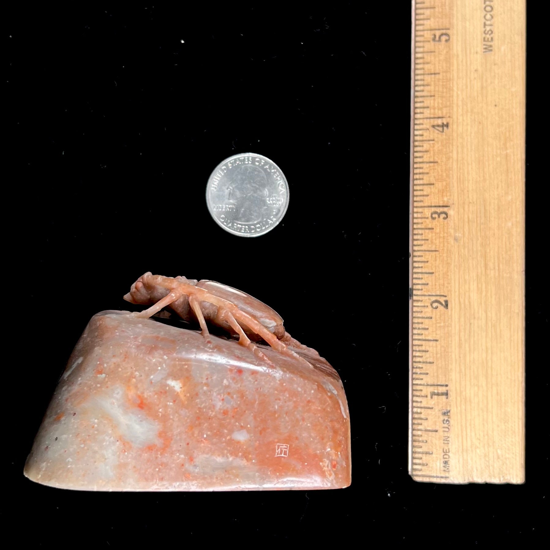 A stone Palo Verde beetle carved from brown jasper.