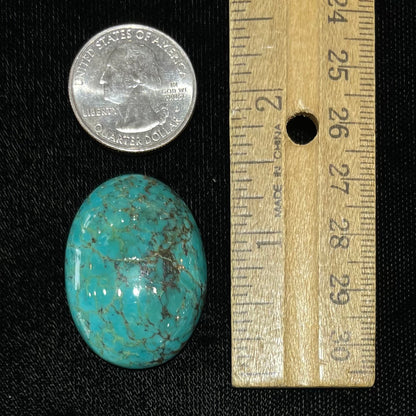 Turquoise #224 | Tyrone