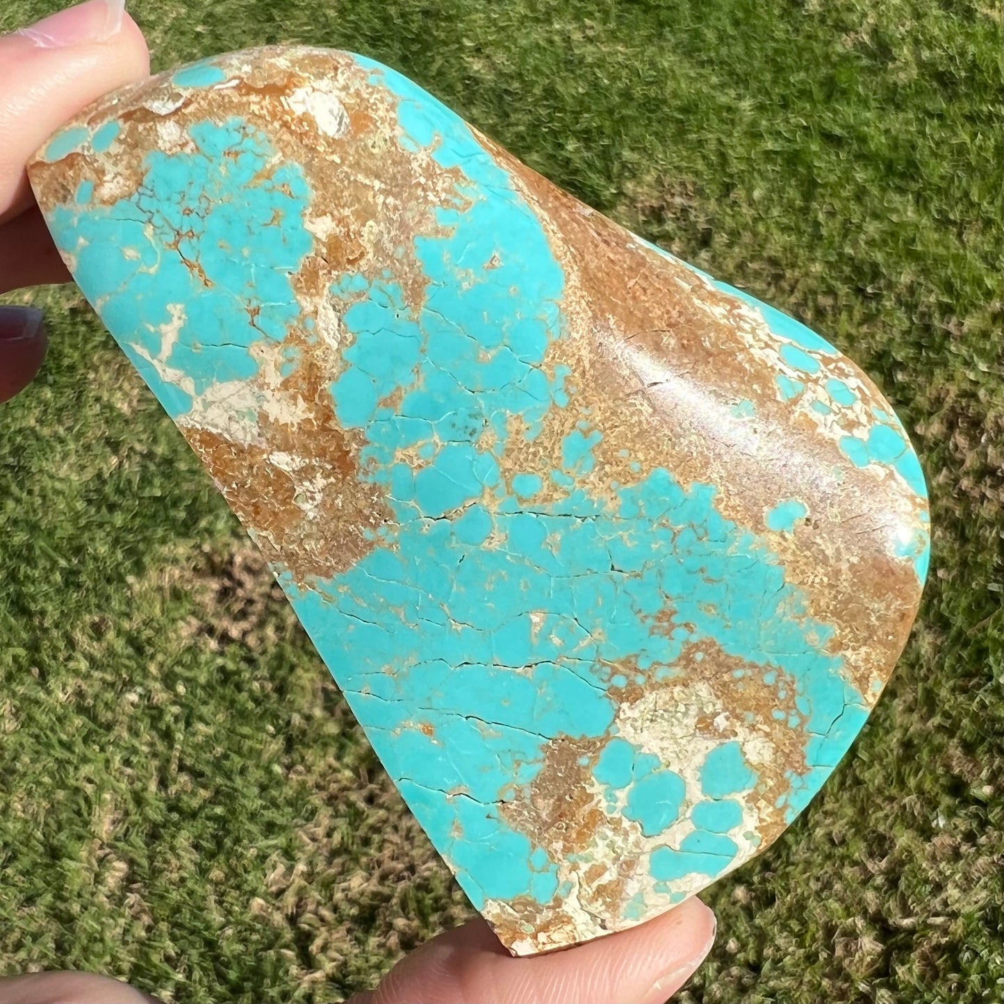 A large, polished turquoise specimen from the Cripple Creek mine.