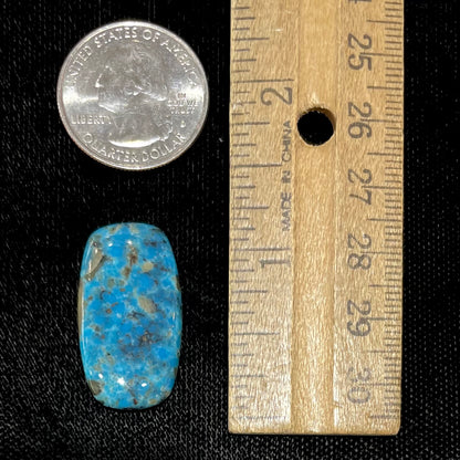 Turquoise #89 | Courtland-Gleeson