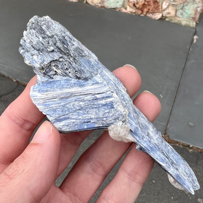 A twinned blue kyanite crystal specimen that measures 4.25 inches.