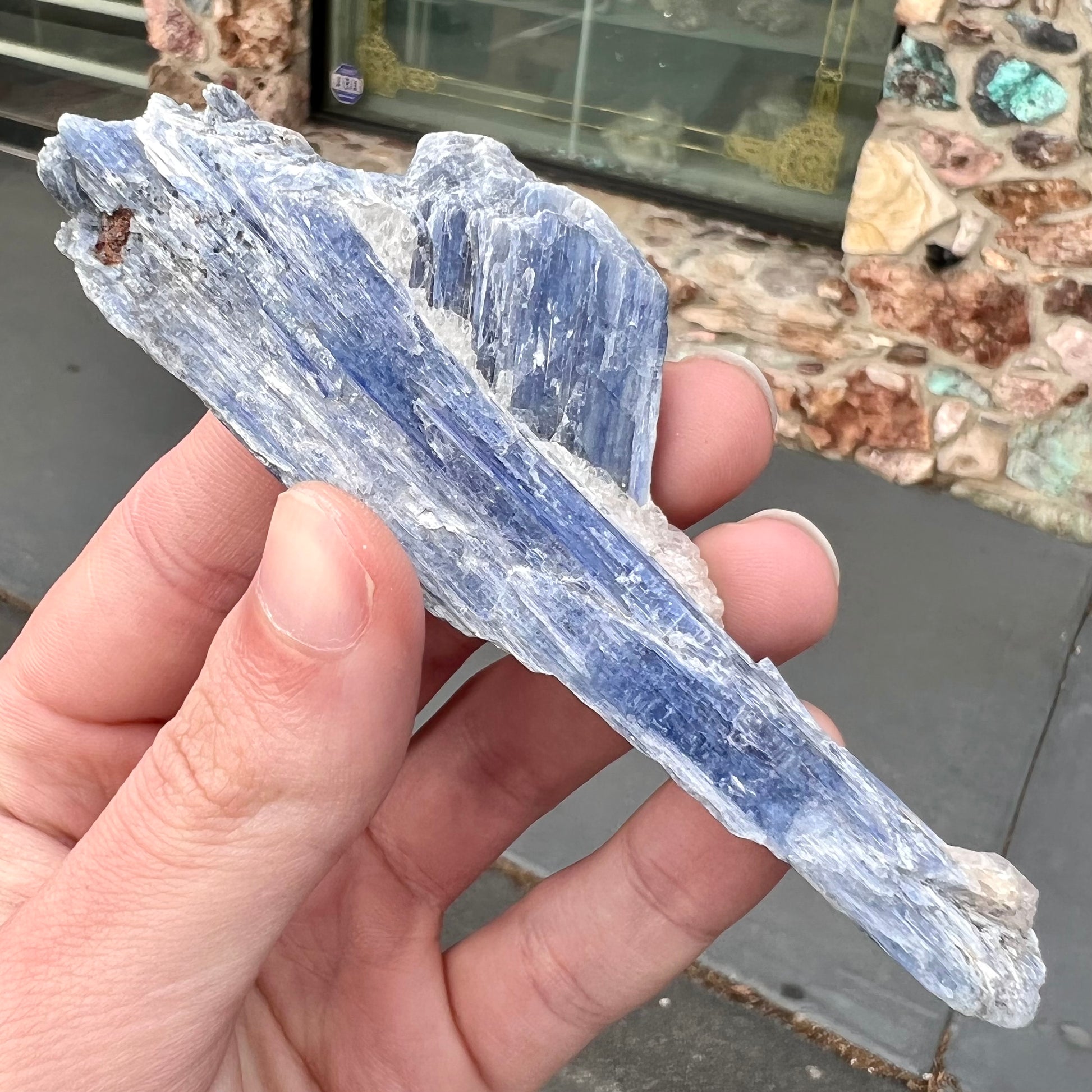 A twinned blue kyanite crystal specimen that measures 4.25 inches.