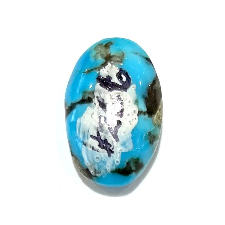 Turquoise #266 | Pinto Valley