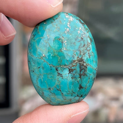 Turquoise #224 | Tyrone