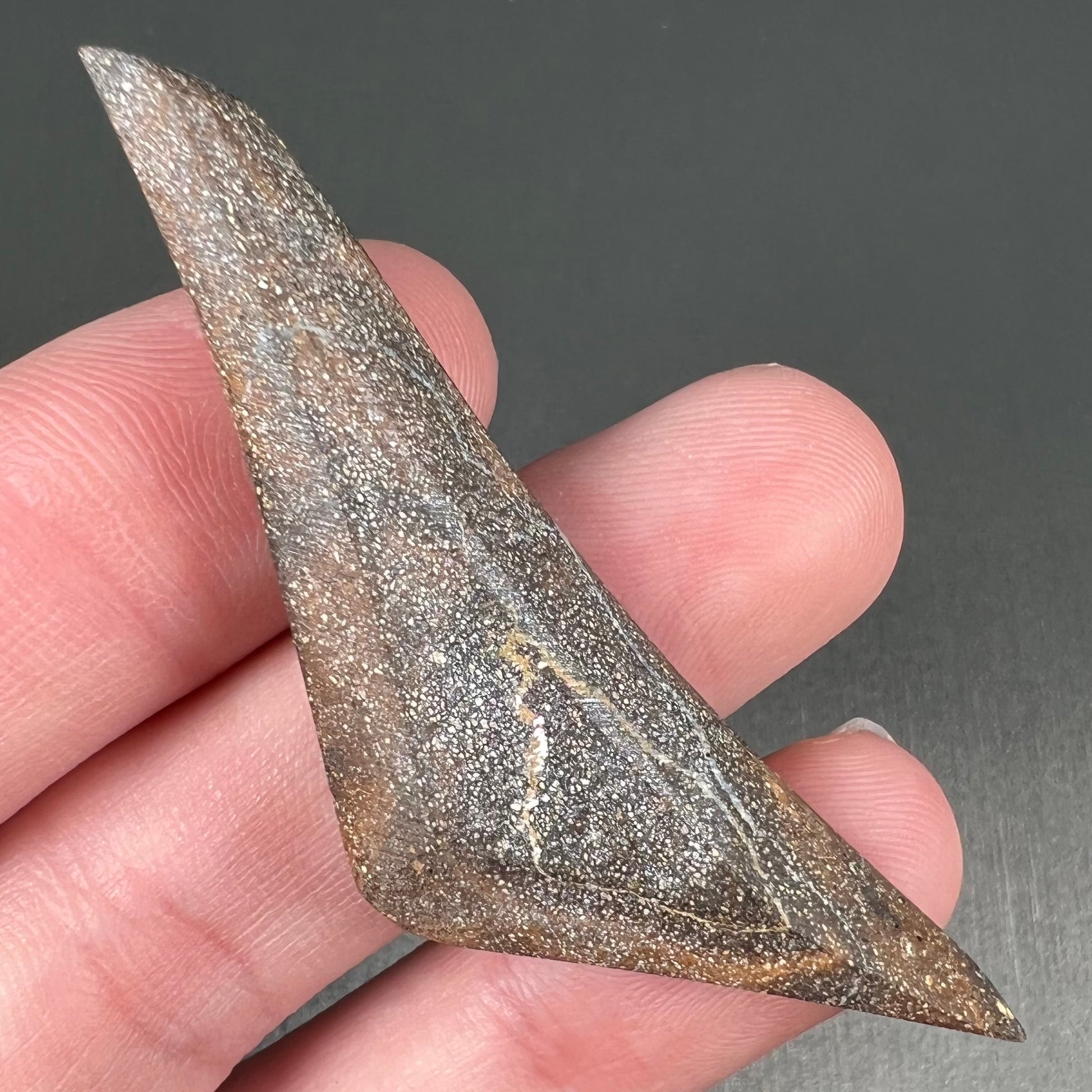 A loose, triangular shaped boulder opal stone from Queensland, Australia.