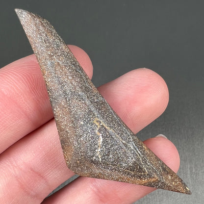 A loose, triangular shaped boulder opal stone from Queensland, Australia.