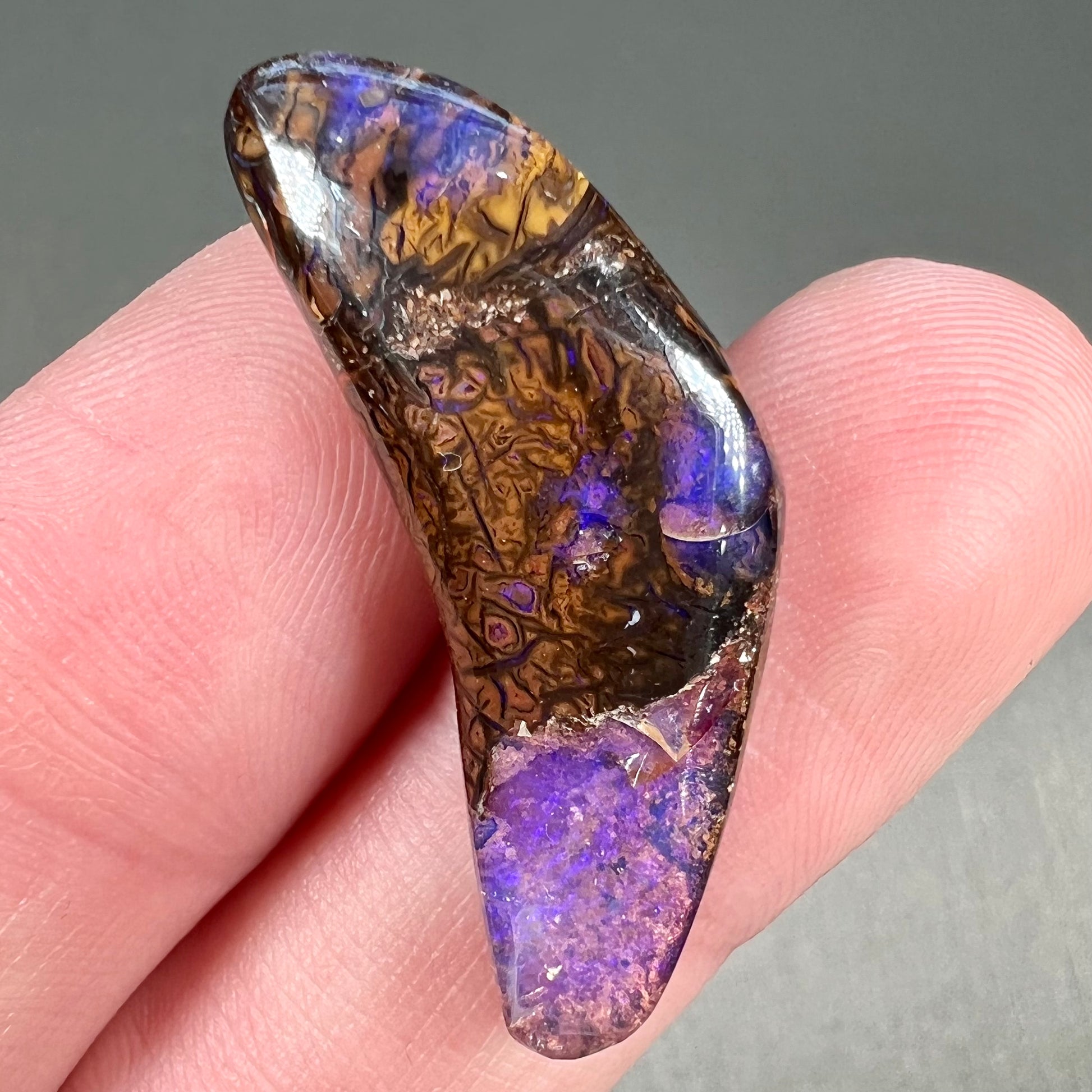 A loose boomerang shaped purple boulder opal stone from Quilpie, Australia.