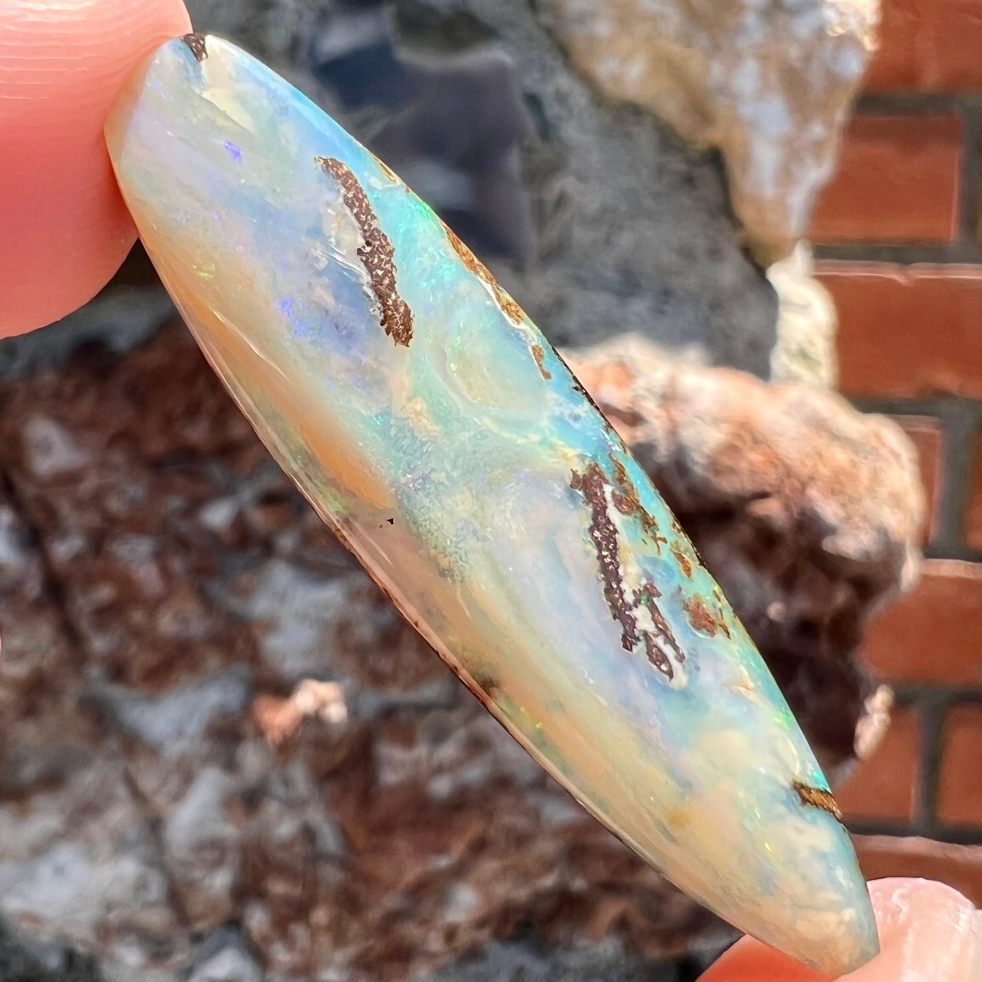 A loose, polished, point shape Quilpie boulder opal stone from Queensland, Australia.
