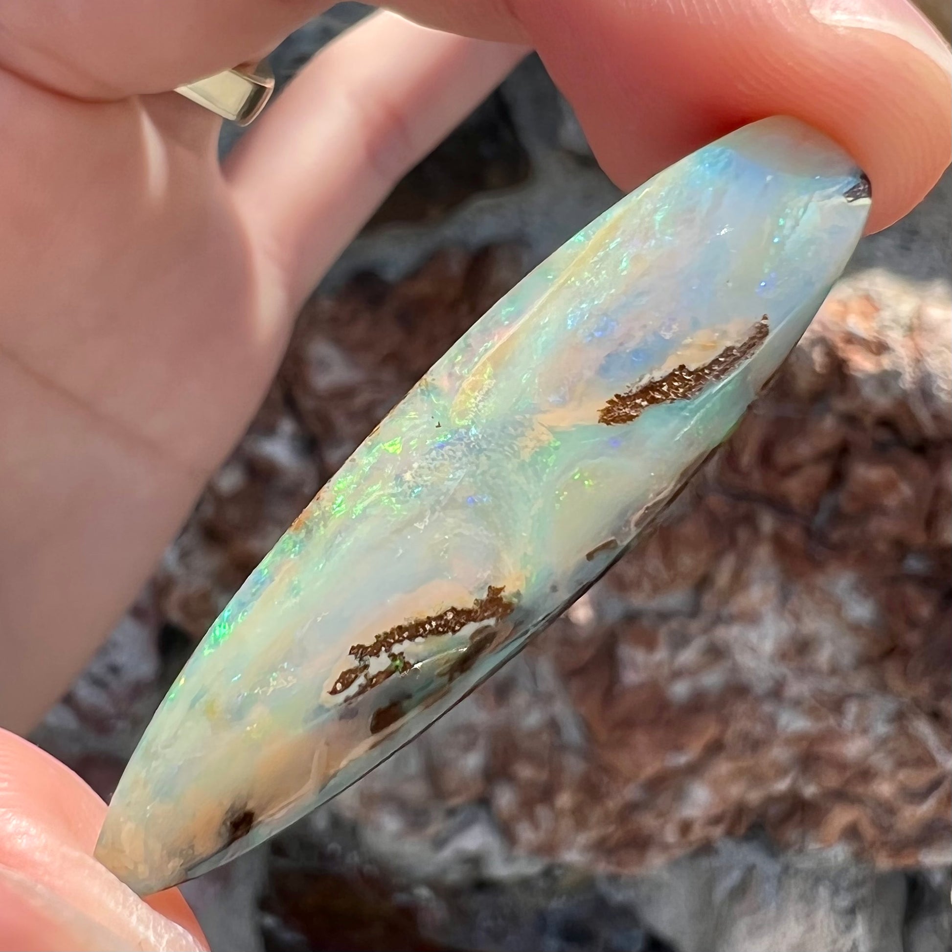 A loose, polished, point shape Quilpie boulder opal stone from Queensland, Australia.