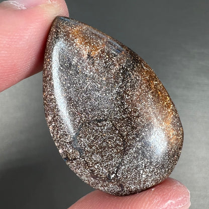 A loose, pear shaped cabochon cut boulder opal stone from Quilpie, Australia.
