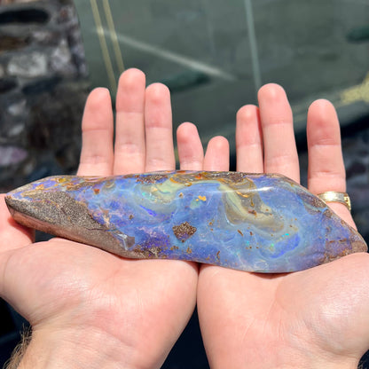 A 7 inch long polished blue Quilpie boulder opal specimen from Queensland, Australia.