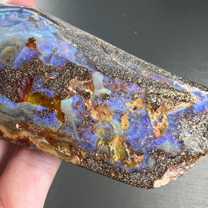 A 7 inch long polished blue Quilpie boulder opal specimen from Queensland, Australia.