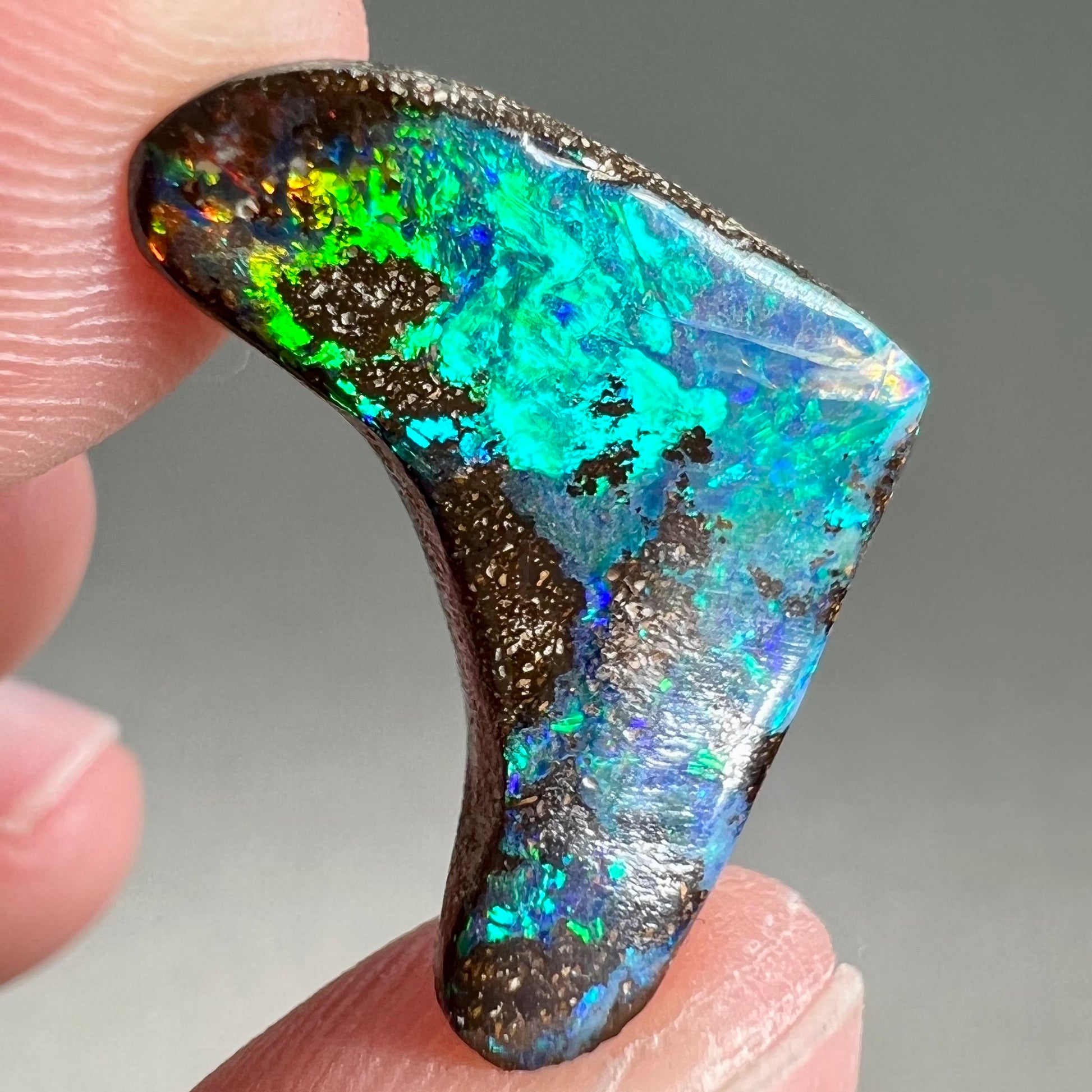 A loose, polished, boomerang shaped boulder opal stone from Queensland, Australia.