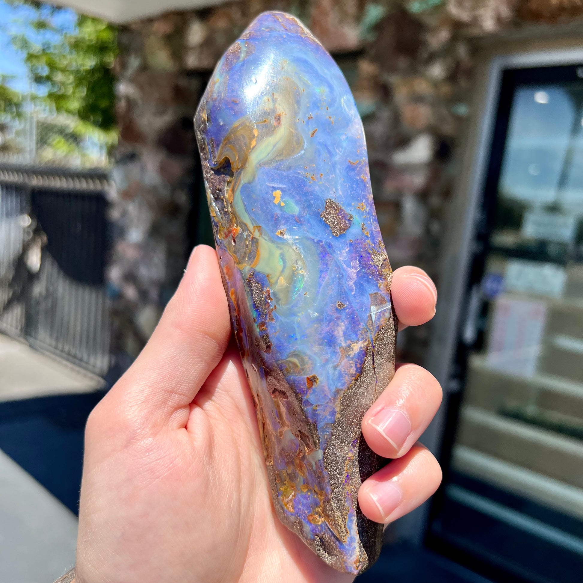 A 7 inch long polished blue Quilpie boulder opal specimen from Queensland, Australia.