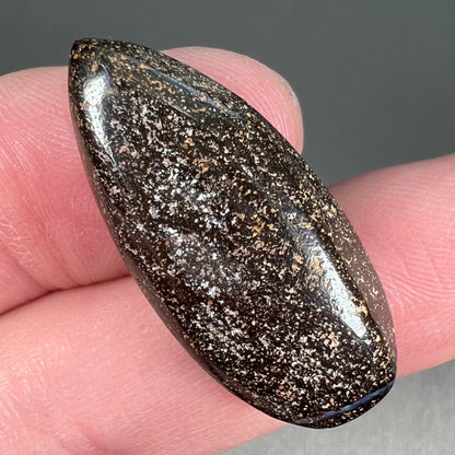 A loose, natural, pear shaped boulder opal stone from Quilpie, Australia.