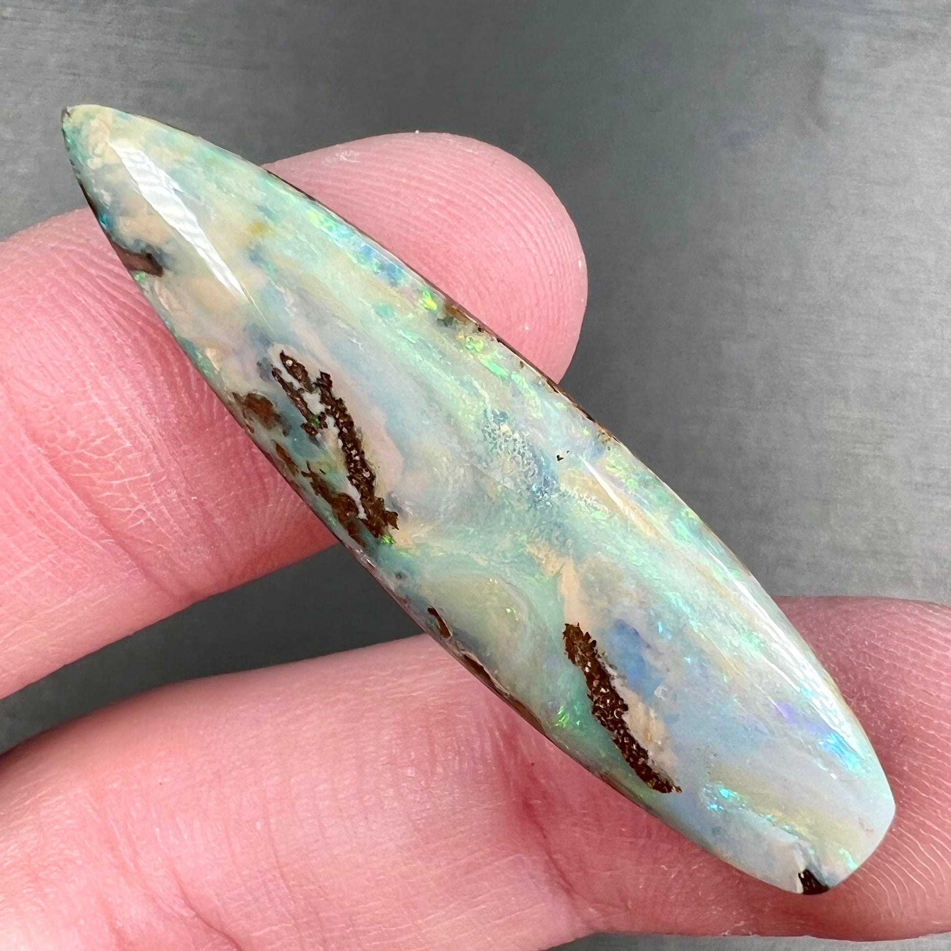 A loose, polished, point shape Quilpie boulder opal stone from Queensland, Australia.