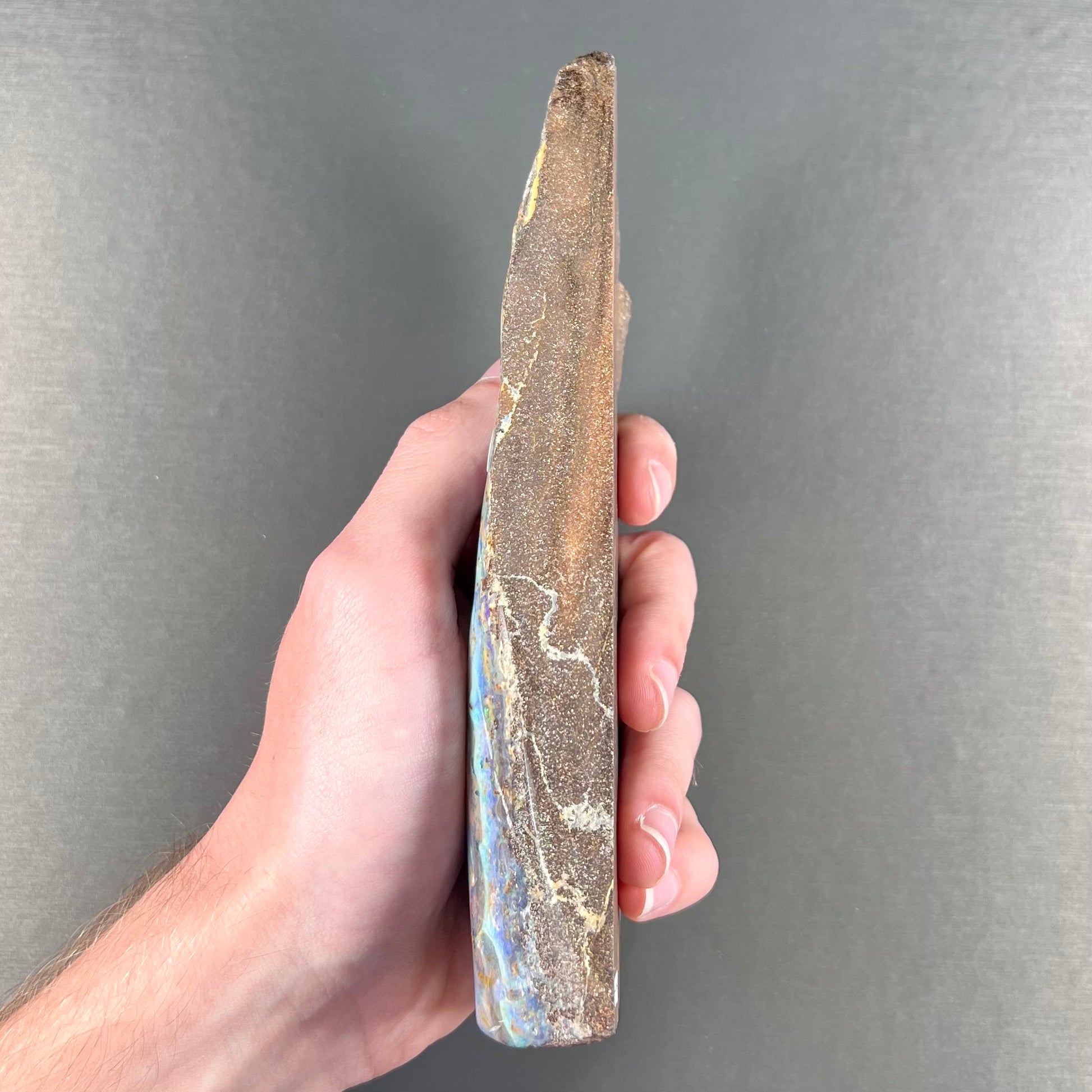 A 7 inch long, polished Quilpie boulder opal specimen.  The stone shows colors of blue, green, and orange.