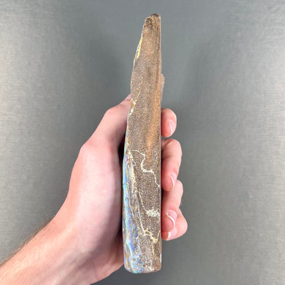 A 7 inch long, polished Quilpie boulder opal specimen.  The stone shows colors of blue, green, and orange.
