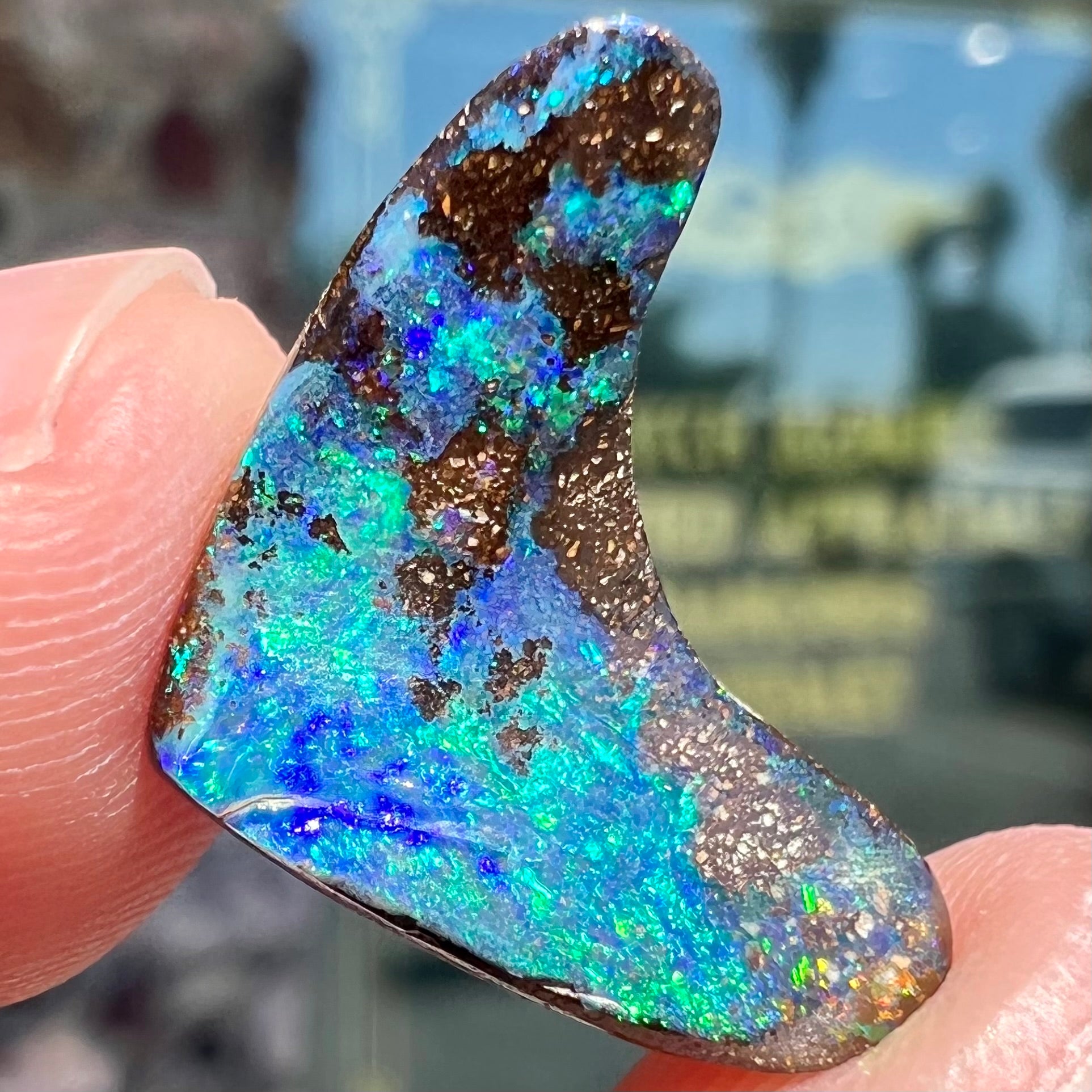 A loose, polished, boomerang shaped boulder opal stone from Queensland, Australia.