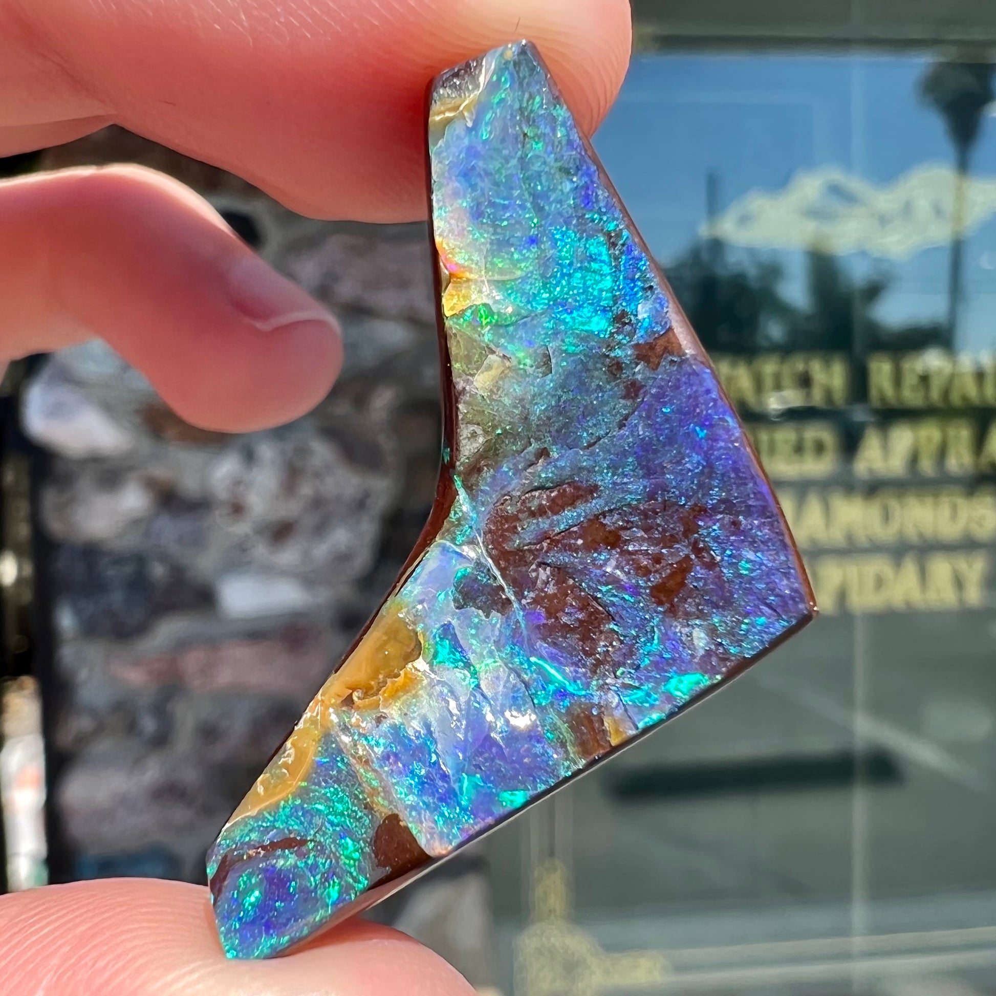 A loose, boomerang shaped boulder opal stone from Quilpie, Australia.  The stone is predominantly blue and green.
