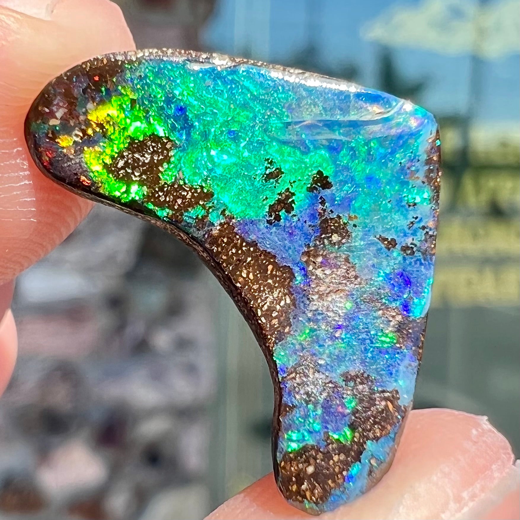 A loose, polished, boomerang shaped boulder opal stone from Queensland, Australia.