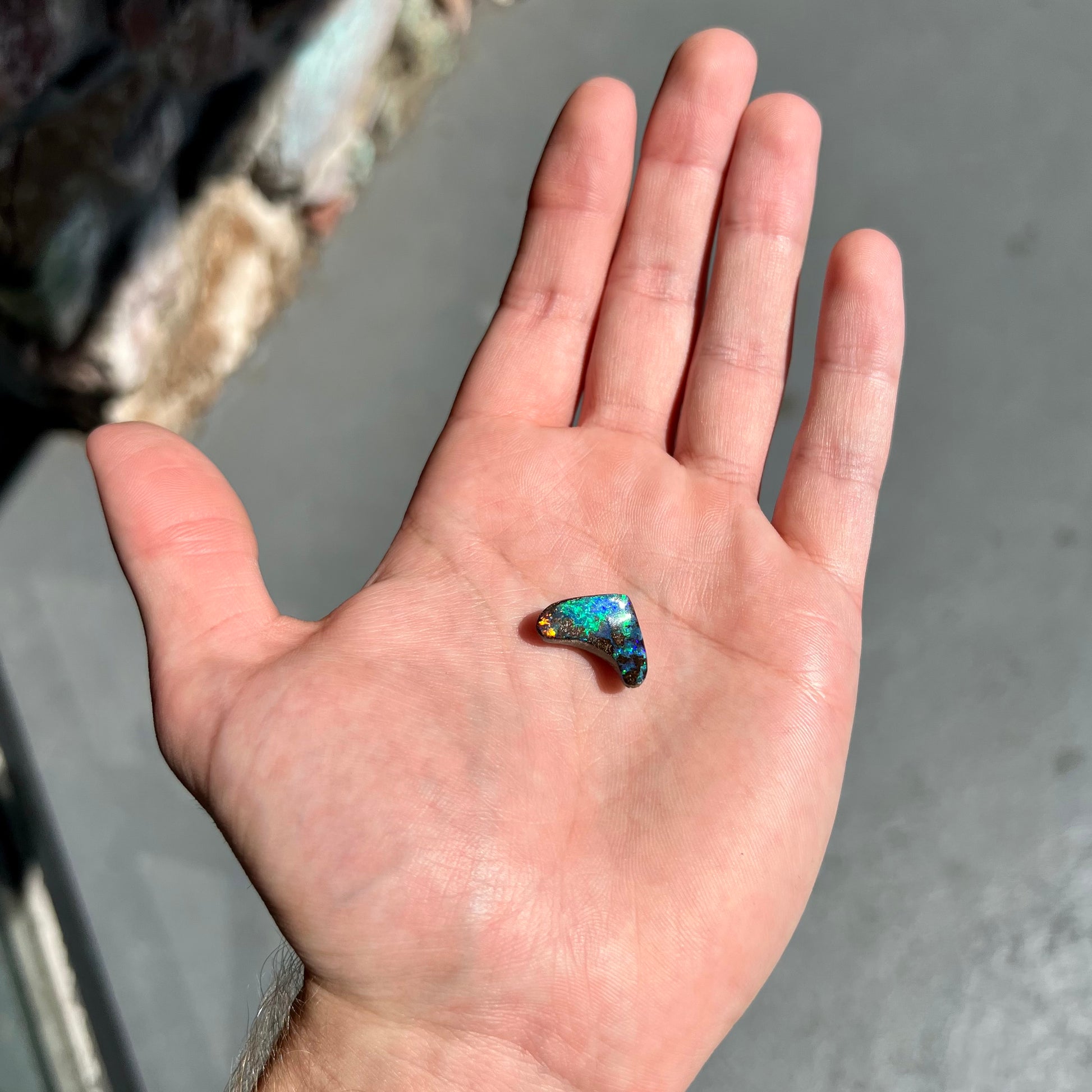 A loose, polished, boomerang shaped boulder opal stone from Queensland, Australia.