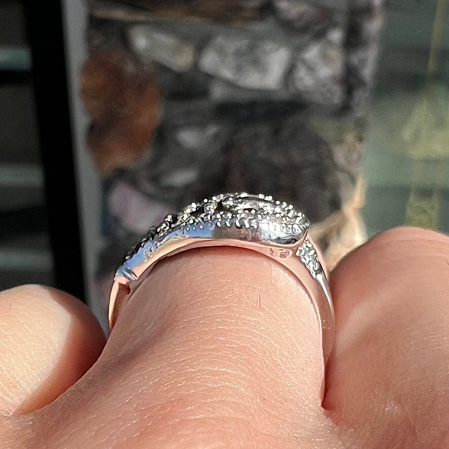 A white gold buckle ring pave set with round black and white diamonds.