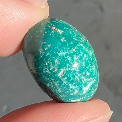 Chrysocolla Cabochon | #173