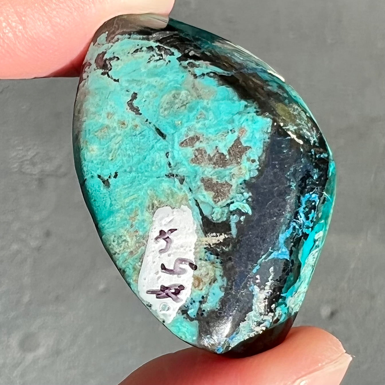 A loose chrysocolla stone with turquoise inclusions.