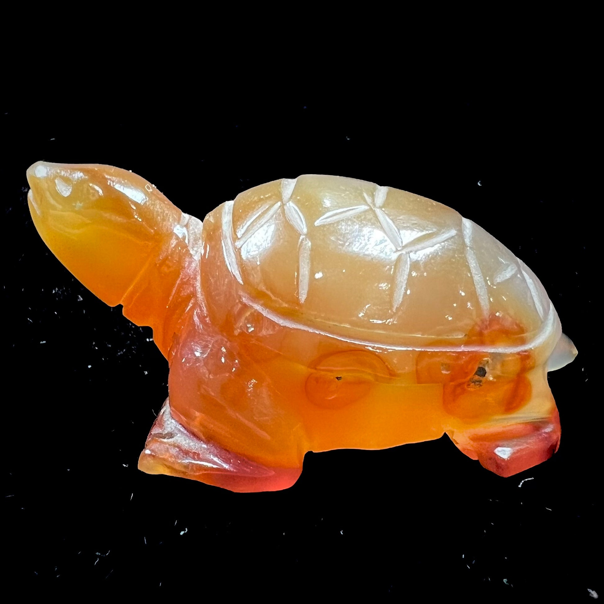 A stone turtle carved from orange carnelian agate.