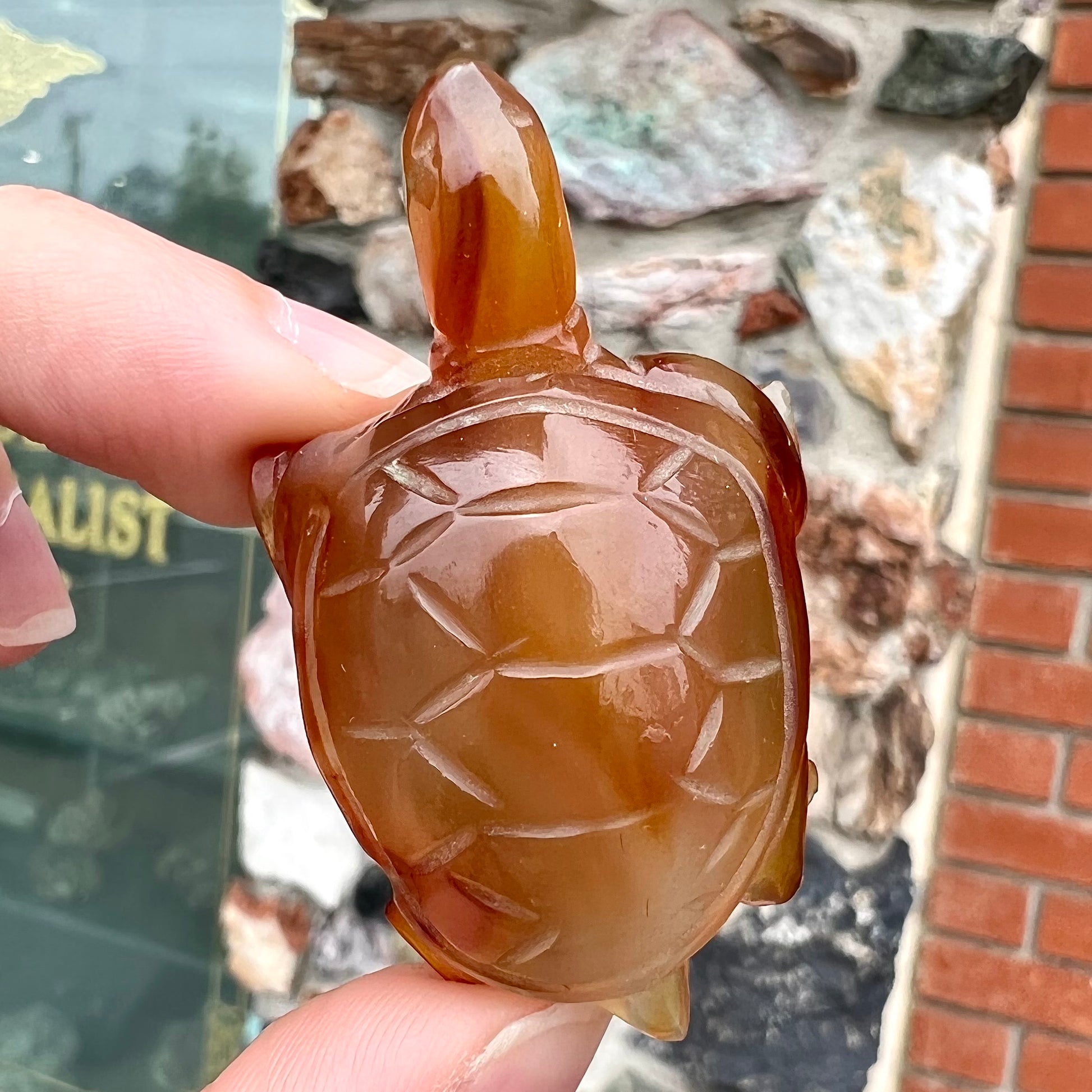 A stone turtle carved from orange carnelian agate.