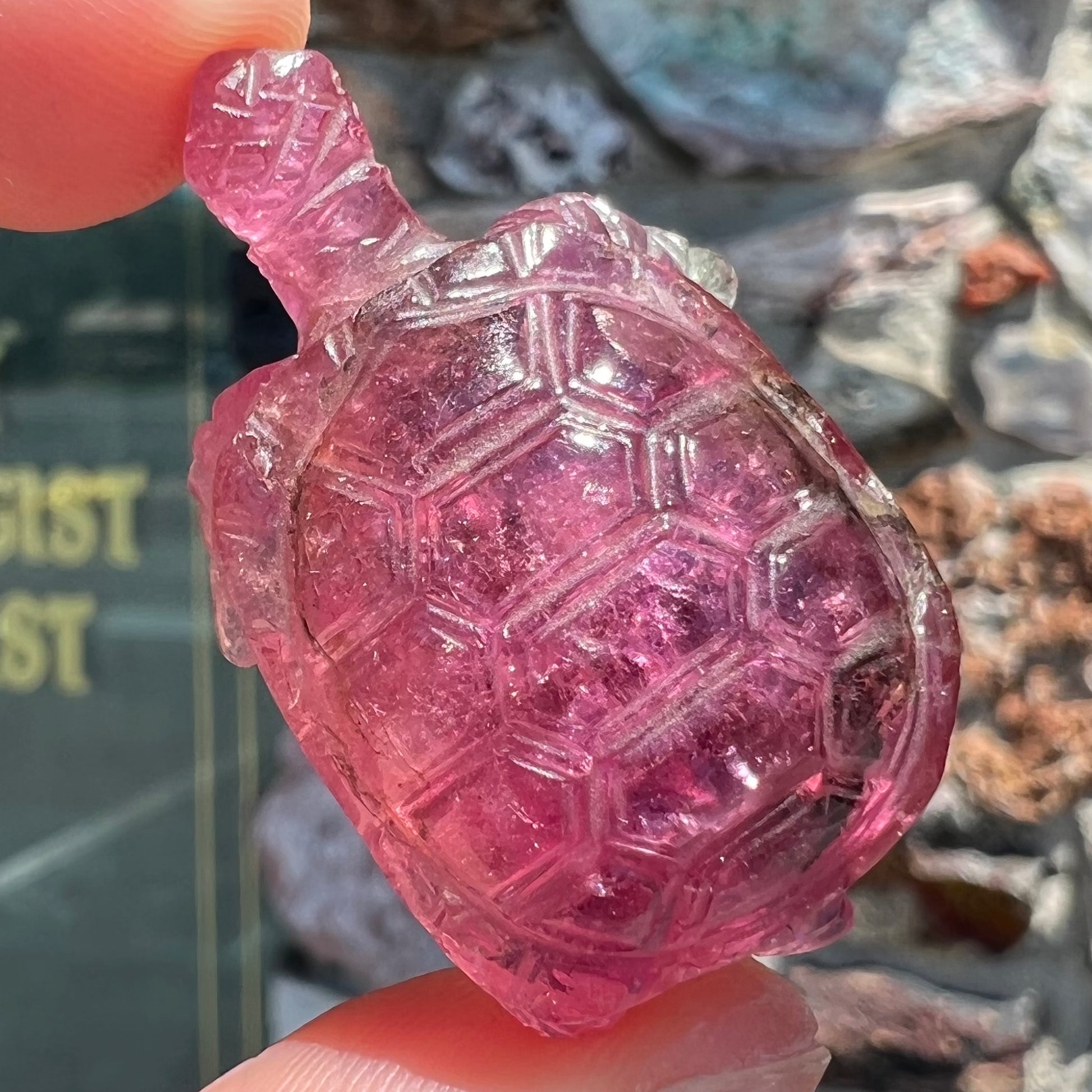 A crystal turtle carved from a pink tourmaline stone.